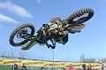 _ROB3832 (Copy)